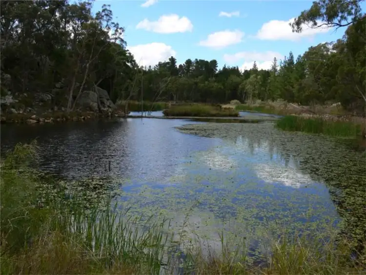 Second view of Homely house listing, 429 Amosfield Road, Stanthorpe QLD 4380