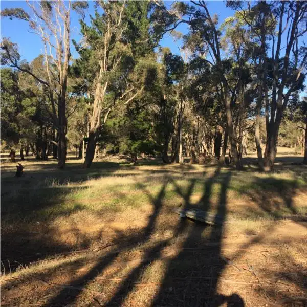 Sixth view of Homely rural property listing, 1480 Riches road, Mount Barker WA 6324