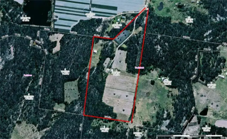 Second view of Homely house listing, 83 Perry Lane, Stanthorpe QLD 4380