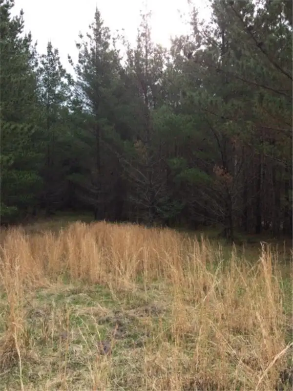 Fourth view of Homely land listing, Lot 242 Radiata Cres, Sugarloaf via, Stanthorpe QLD 4380