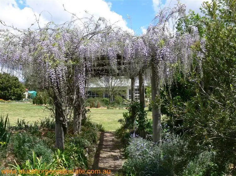 Fifth view of Homely house listing, 2139 Pyramids Road, Stanthorpe QLD 4380