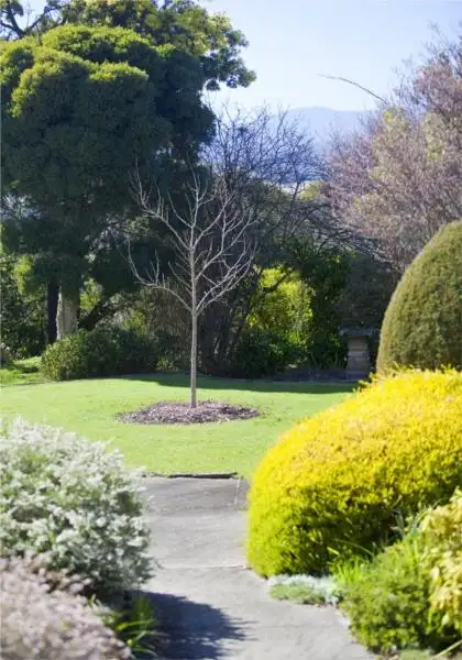 Fifth view of Homely house listing, 138 Punchbowl Road, Newstead TAS 7250