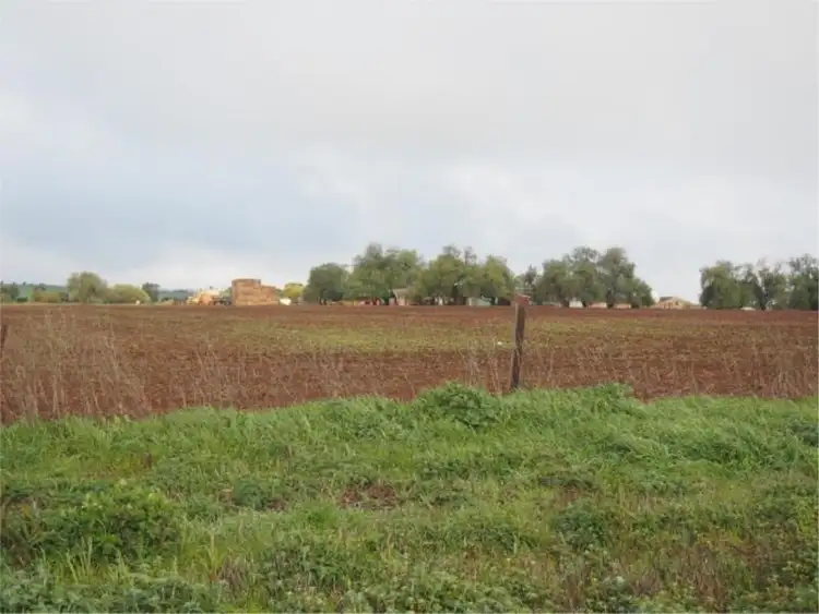 Seventh view of Homely land listing, 19 McAuliffes Road, Saddleworth SA 5413