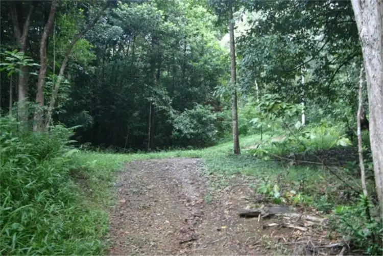 Fourth view of Homely land listing, 24 Cocos Court, Doonan QLD 4562