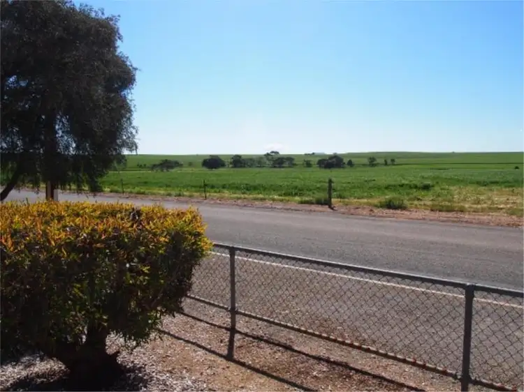 Third view of Homely house listing, 5 Borgas Street, Booleroo Centre SA 5482