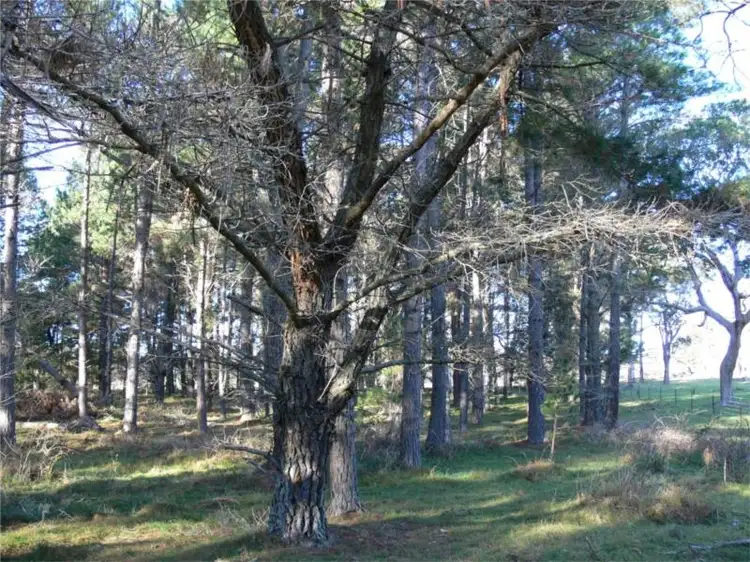 Sixth view of Homely land listing, Lot 264 Panoramic Drive, Stanthorpe QLD 4380