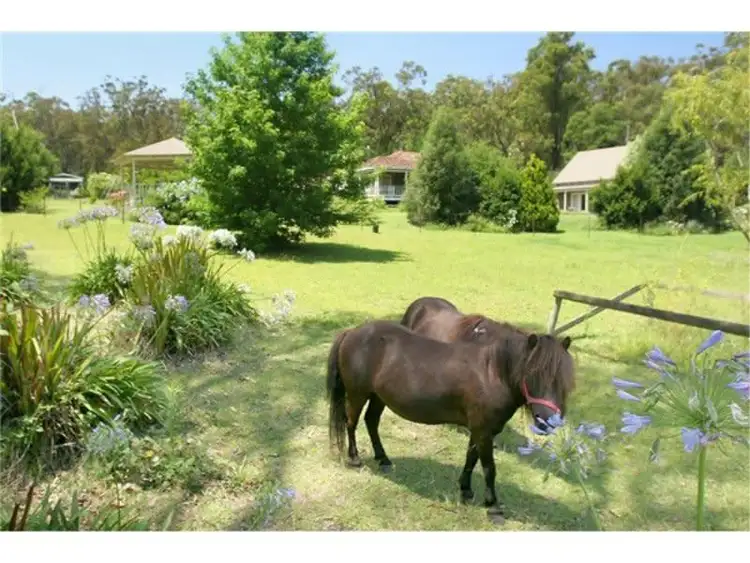 879 Princes Highway, Mogo NSW 2536