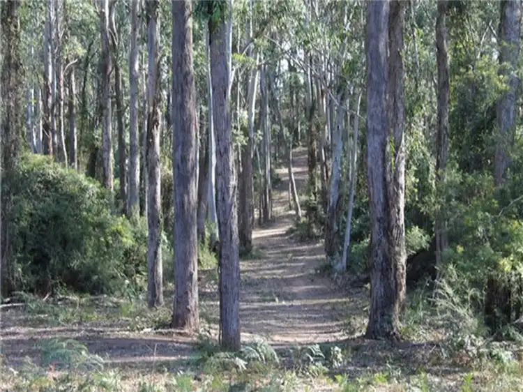 Sixth view of Homely rural property listing, 100 The River Road, Nelligen NSW 2536