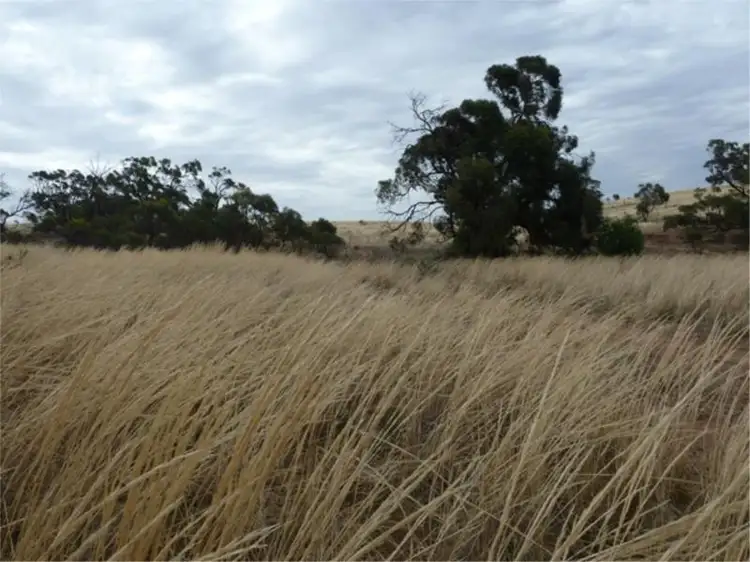Fourth view of Homely land listing, 3798 Worlds End Highway, Robertstown SA 5381