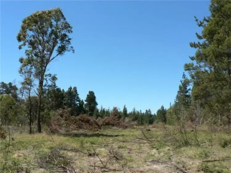 Third view of Homely land listing, Lot 236 Central Rd, Stanthorpe QLD 4380