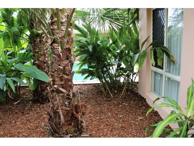Seventh view of Homely house listing, 12 Sentry Court, Jubilee Pocket QLD 4802