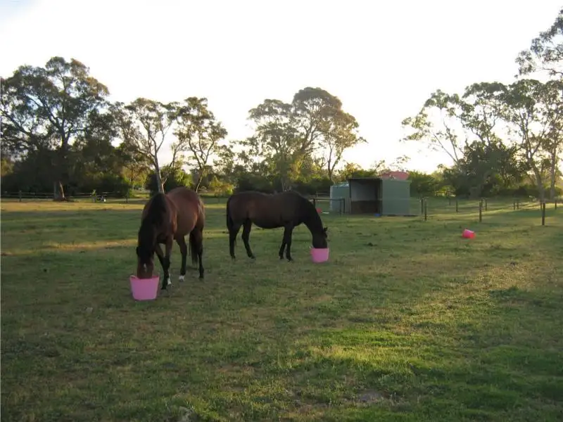 Main view of Homely rural property listing, 35 Battunga Road, Meadows SA 5201