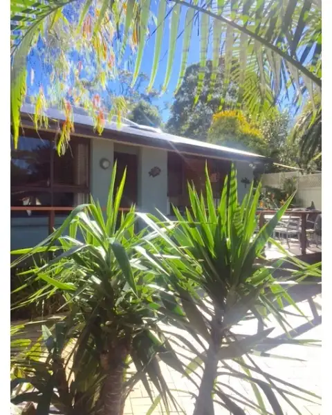 Main view of Homely house listing, 46 David Road, Collaroy Plateau NSW 2097