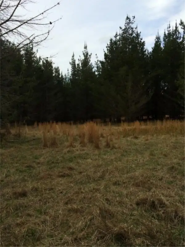 Seventh view of Homely land listing, Lot 242 Radiata Cres, Sugarloaf via, Stanthorpe QLD 4380