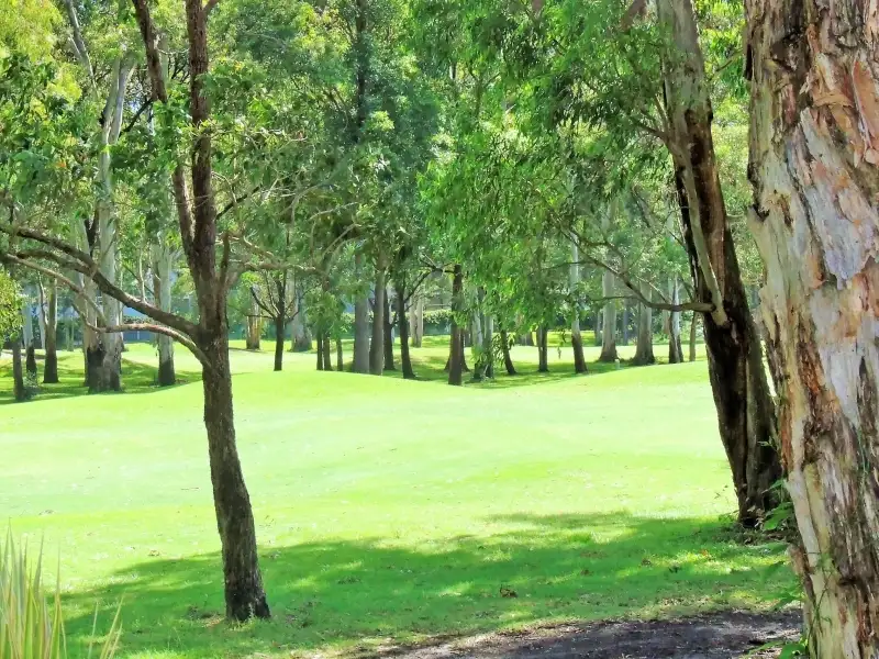 Main view of Homely unit listing, 19/5-7 Soorley Street, Tweed Heads South NSW 2486