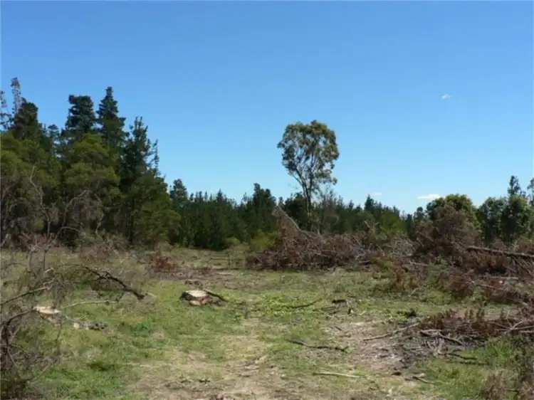 Second view of Homely land listing, Lot 236 Central Rd, Stanthorpe QLD 4380