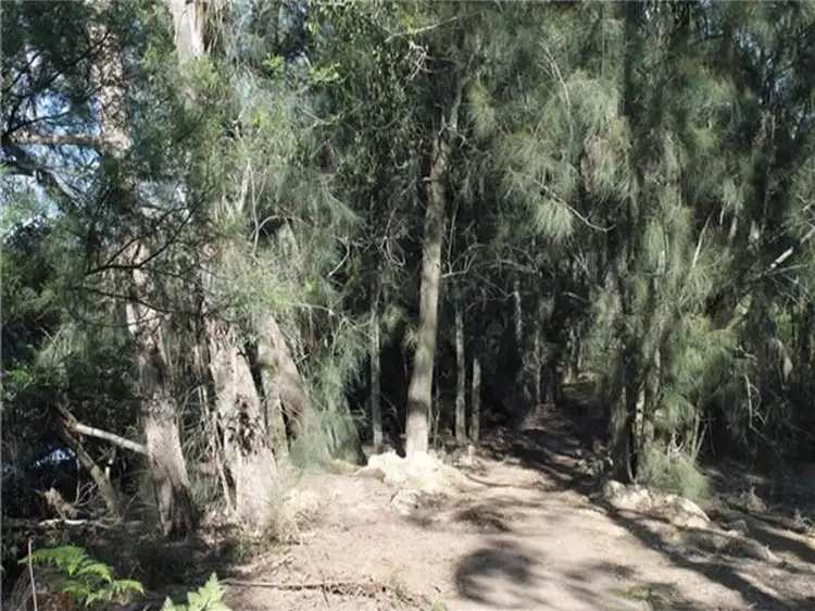 Seventh view of Homely rural property listing, 100 The River Road, Nelligen NSW 2536