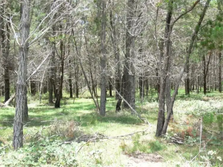 Seventh view of Homely land listing, Lot 234 Central Road, Sugarloaf via, Stanthorpe QLD 4380