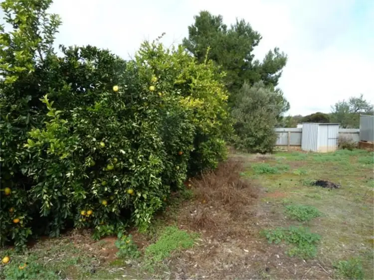 Fifth view of Homely house listing, 11 Munduney Street, Spalding SA 5454