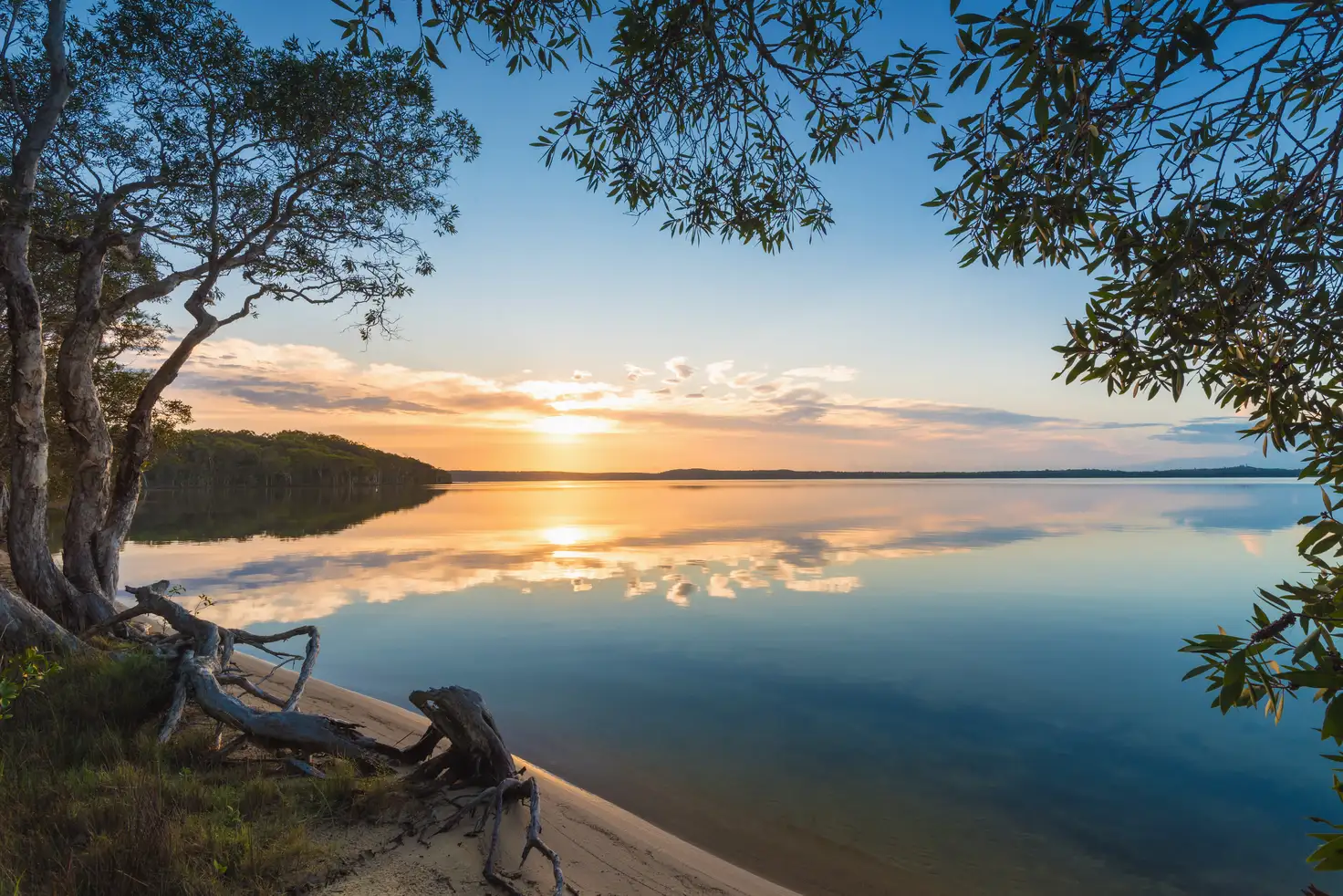 Main view of Homely house listing, 5 Lake Weyba Dv, Weyba Downs QLD 4562