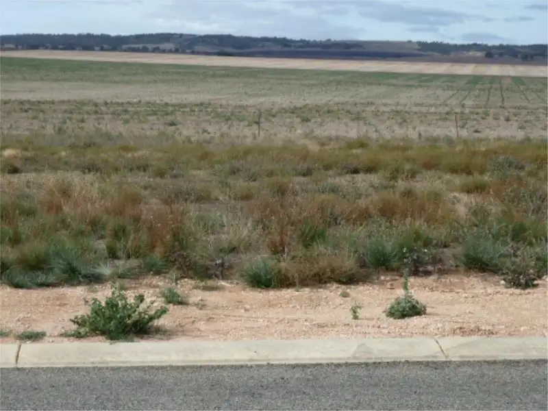 Main view of Homely land listing, 1 JS McEwin Drive, Blyth SA 5462