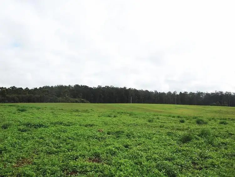 Seventh view of Homely land listing, 475 KENNEDYS ROAD, Pomona QLD 4568