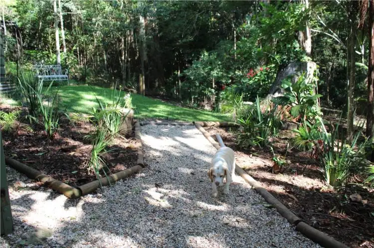 Fifth view of Homely house listing, 6 Kinabalu Drive, Tamborine Mountain QLD 4271