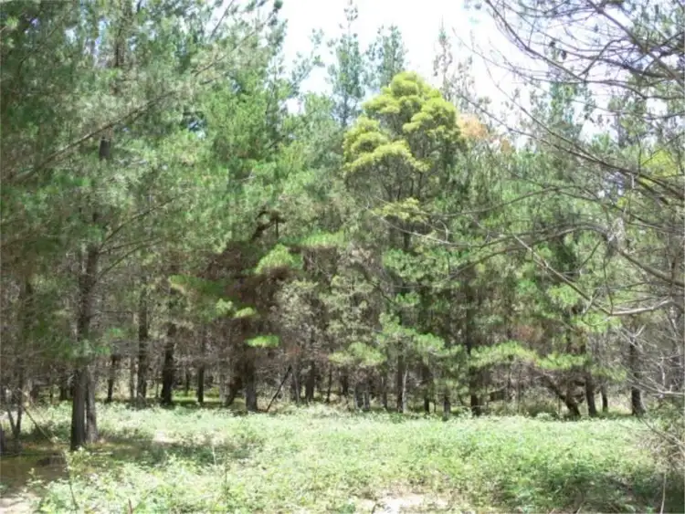 Sixth view of Homely land listing, Lot 233 Central Road, Sugarloaf via, Stanthorpe QLD 4380