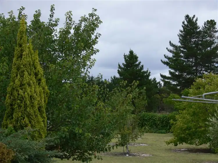 Seventh view of Homely house listing, 8 Brunckhorst Avenue, Stanthorpe QLD 4380