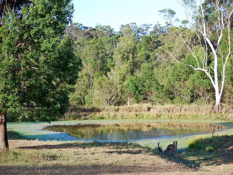 Fourth view of Homely house listing, 101 Gumboil Rd, Lake Macdonald QLD 4563
