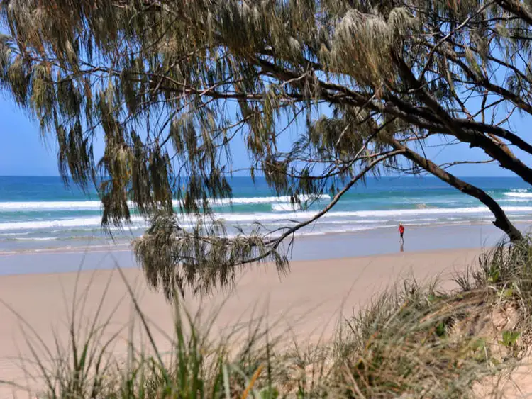 Main view of Homely house listing, 82 Lorikeet Drive, Peregian Beach QLD 4573