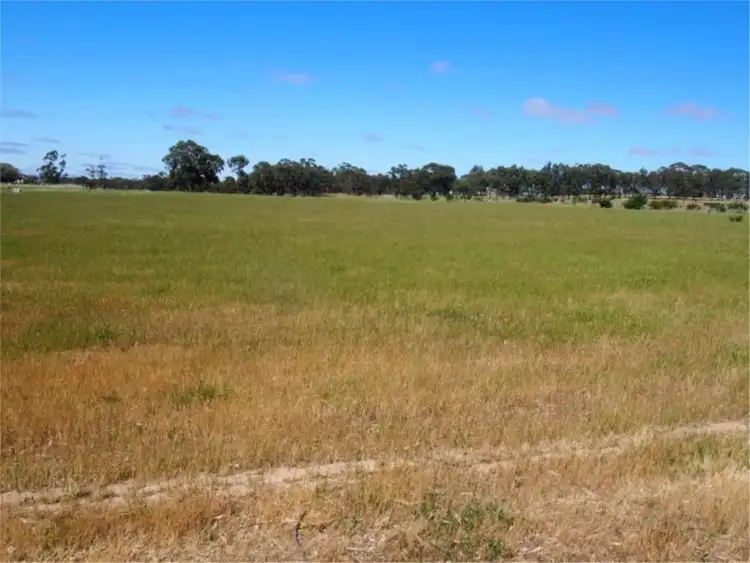 Third view of Homely rural property listing, 423 White Hut Road, Clare SA 5453