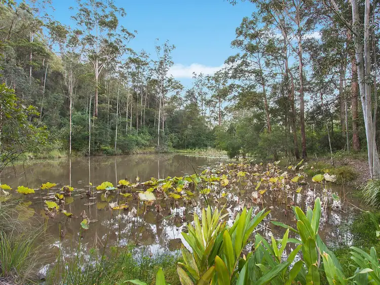 Sixth view of Homely house listing, 196 Matthews Valley Road, Cooranbong NSW 2265