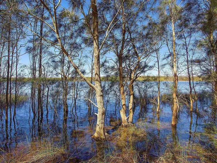 Third view of Homely house listing, 104 Blue Bell Drive, Wamberal NSW 2260