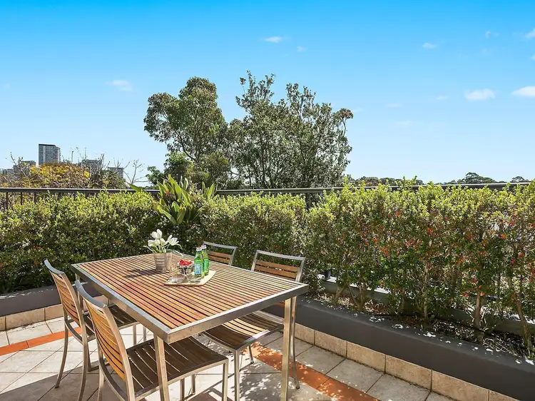 11/239 Victoria Avenue, Chatswood NSW 2067