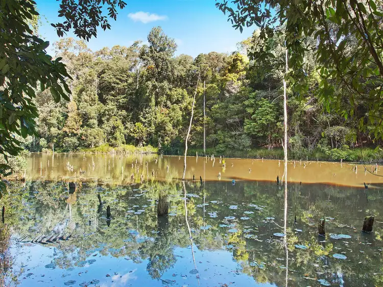 Fifth view of Homely rural property listing, 77 Gooriwa Road, Holgate NSW 2250