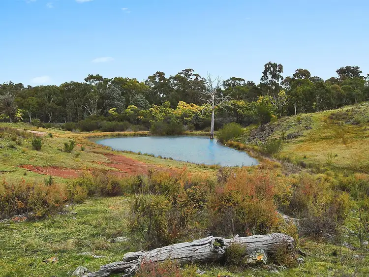 Third view of Homely land listing, 5504 Gundaroo Road, Gundaroo NSW 2620