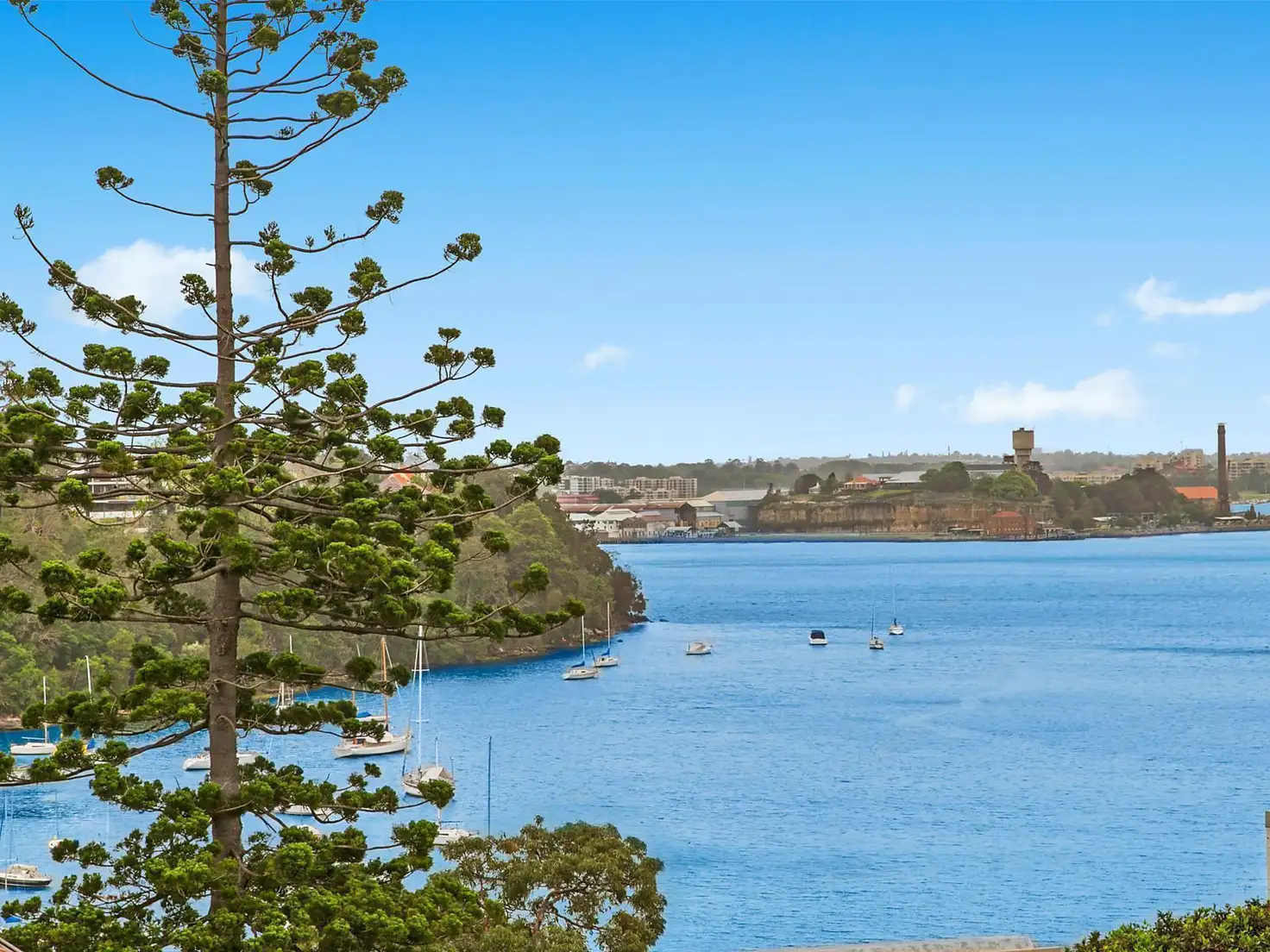 Main view of Homely house listing, 67 Carlotta Street, Greenwich NSW 2065