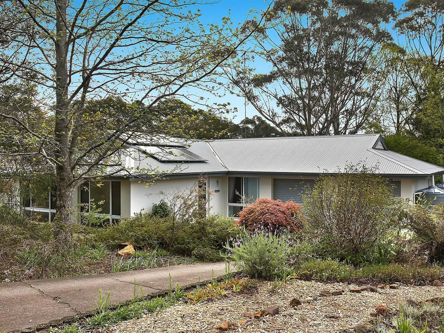 Main view of Homely house listing, 38 Mountbatten Street, Blackheath NSW 2785