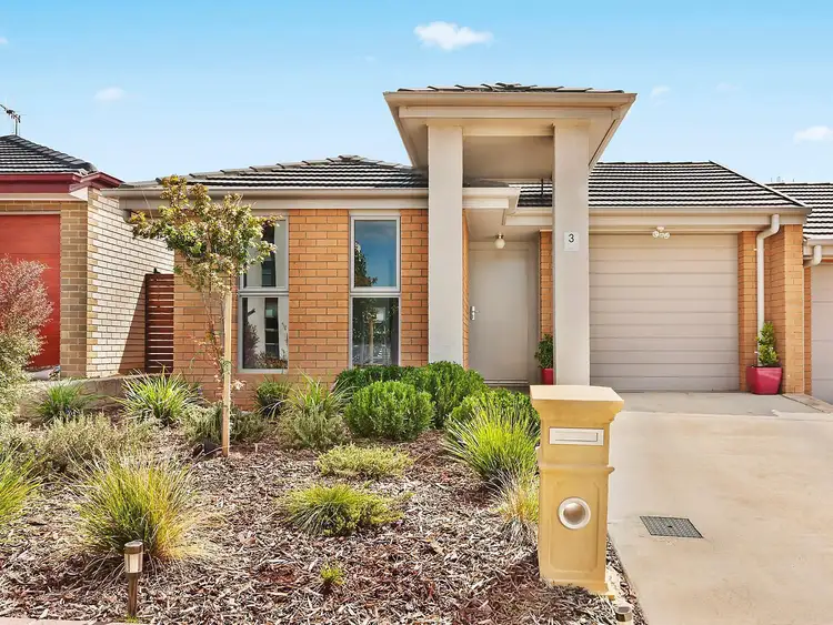 3 Patrick Shaw Street, Casey ACT 2913