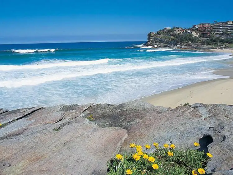 Fifth view of Homely apartment listing, 1/79 Macpherson Street, Bronte NSW 2024