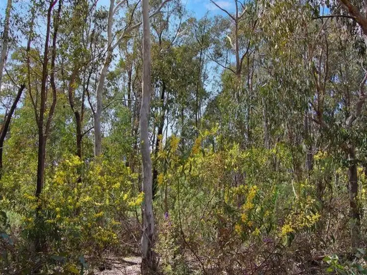 Second view of Homely land listing, Lot 5 Doctors Flat Road, Wee Jasper NSW 2582