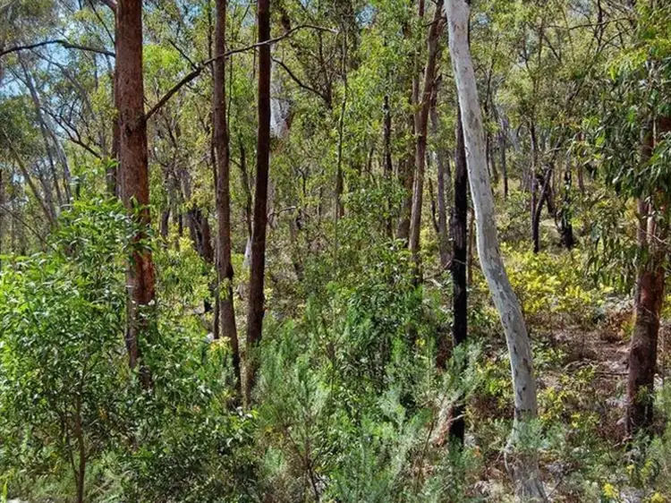 Third view of Homely land listing, Lot 5 Doctors Flat Road, Wee Jasper NSW 2582