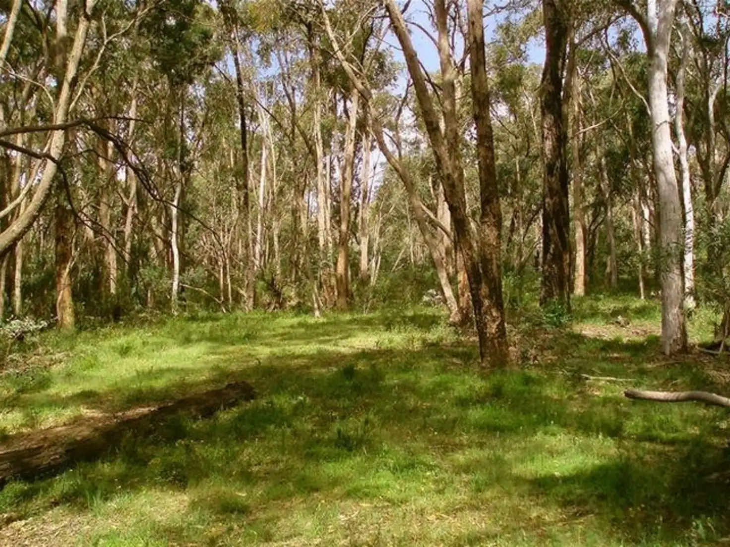 Main view of Homely land listing, Lot 1 DP 739788 Doctors Flat Road, Wee Jasper NSW 2582