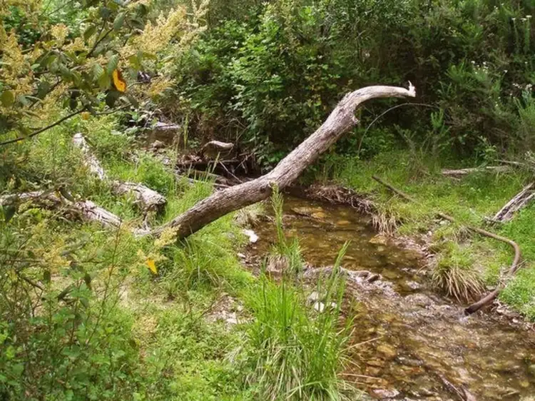 Second view of Homely land listing, Lot 1 DP 739788 Doctors Flat Road, Wee Jasper NSW 2582