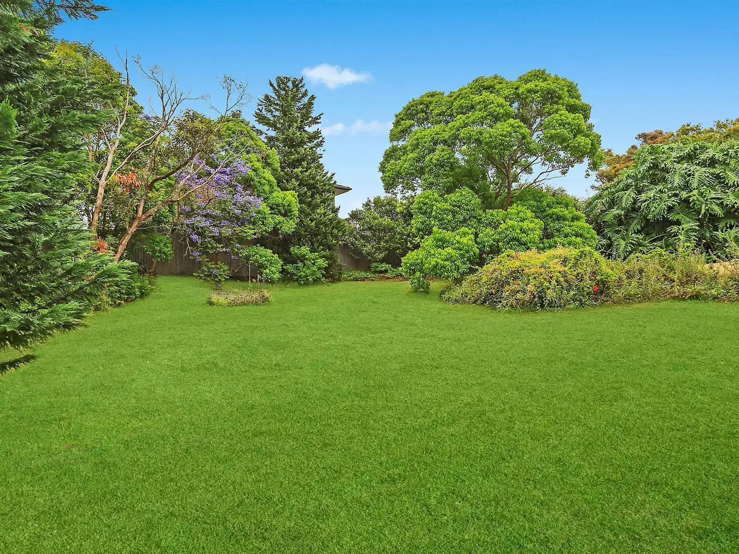 Main view of Homely house listing, 41 May Road, Dee Why NSW 2099