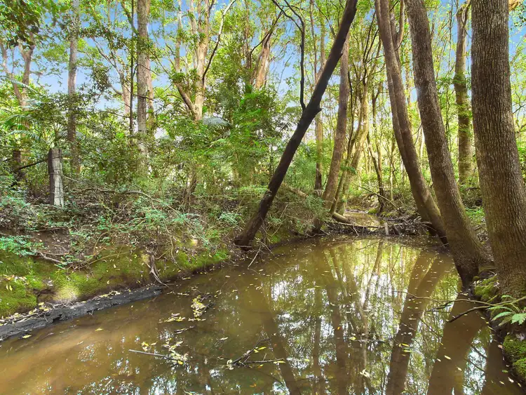 Fourth view of Homely land listing, RMB 5115 Wattle Tree Road, Holgate NSW 2250