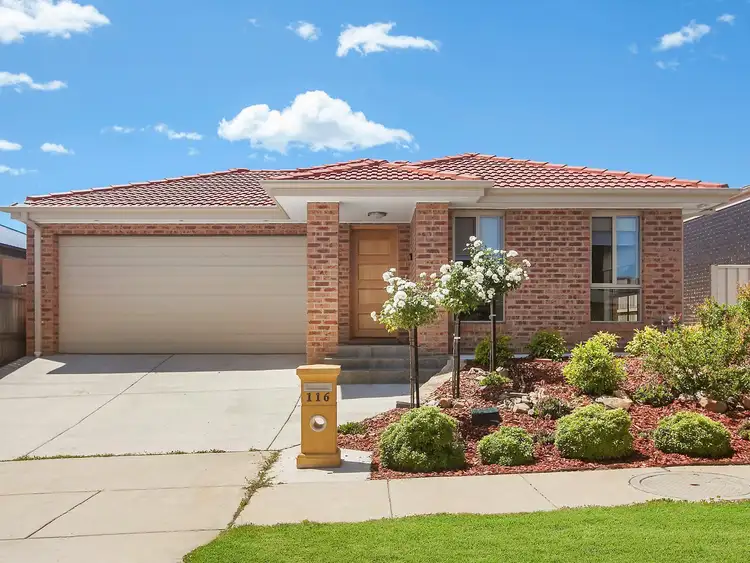 116 Essie Coffey Street, Bonner ACT 2914