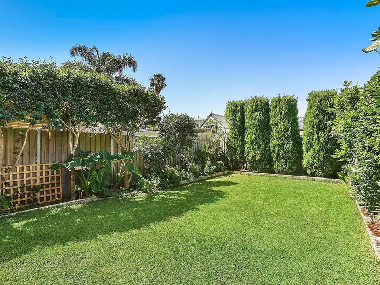 52 Pine Street, Randwick NSW 2031