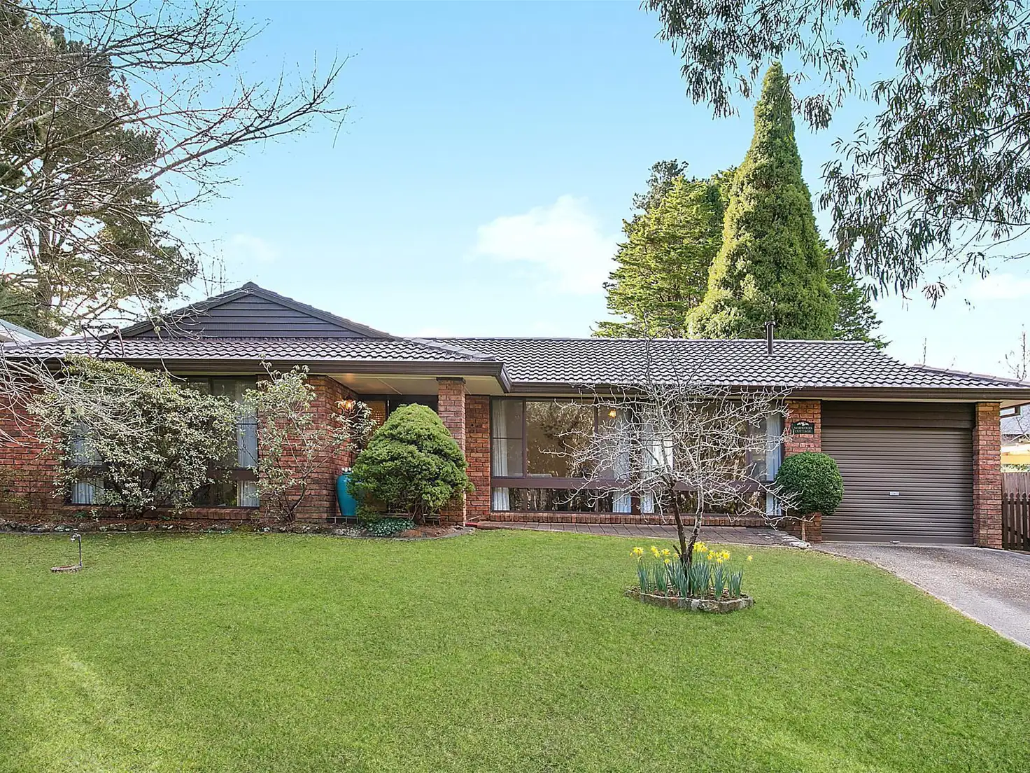 Main view of Homely house listing, 19 Beatty Road, Wentworth Falls NSW 2782
